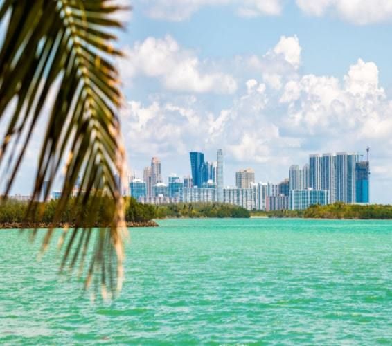 View of South Florida and its waters from afar