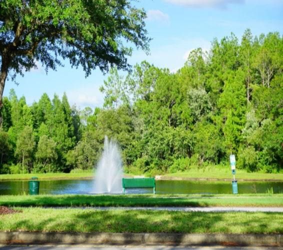 View of a pond in Florida community