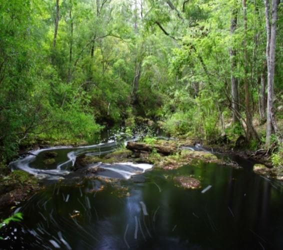 Beautiful creek in Florida