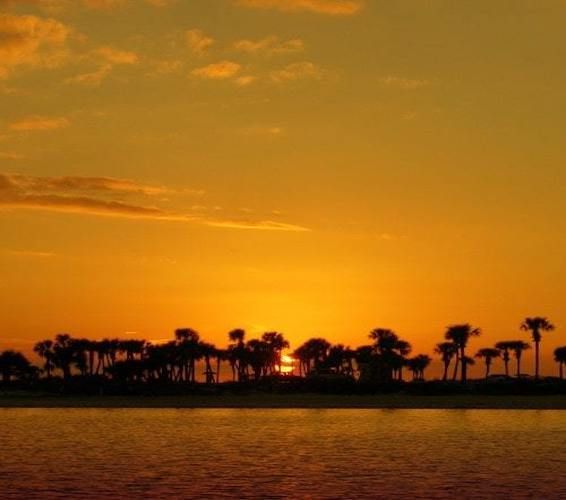 View from Palm Springs, FL real estate