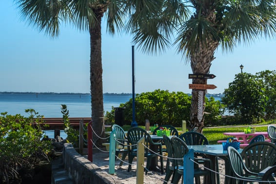 Colorful lawn chairs and palm trees by a beach in Florida.