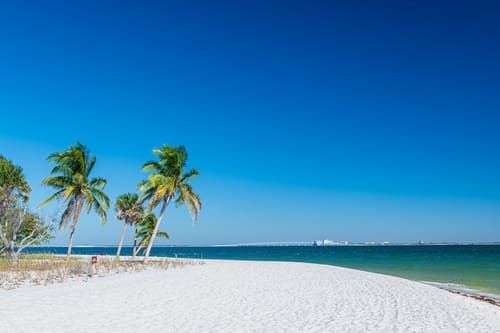 Sanibel Beach, FL with no people in sight.