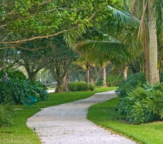 Typical view near Washington Park, FL